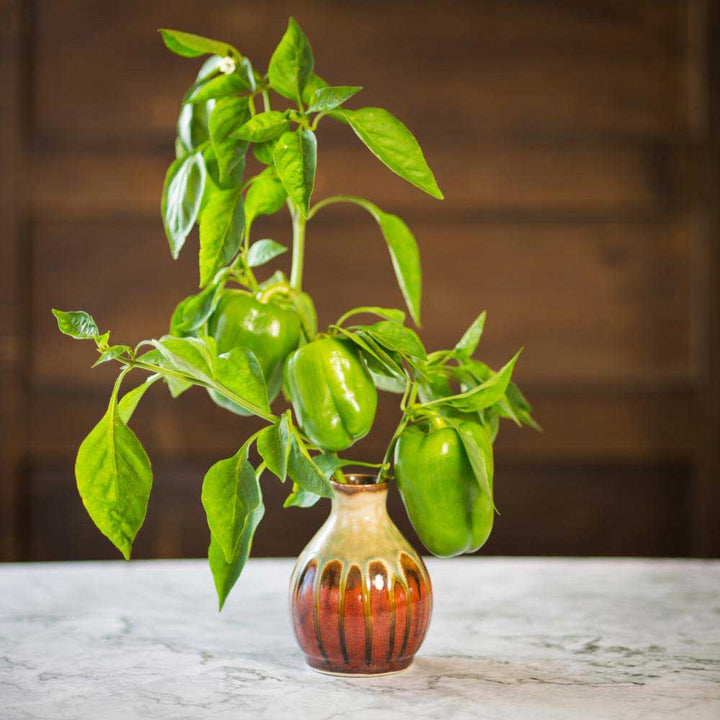 Shop Rustic Red Round Handmade Ceramic Bud Vase - 6 - Blanket Creek Pottery 