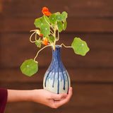 Tall Ceramic Bud Vase - Blue Mint Green